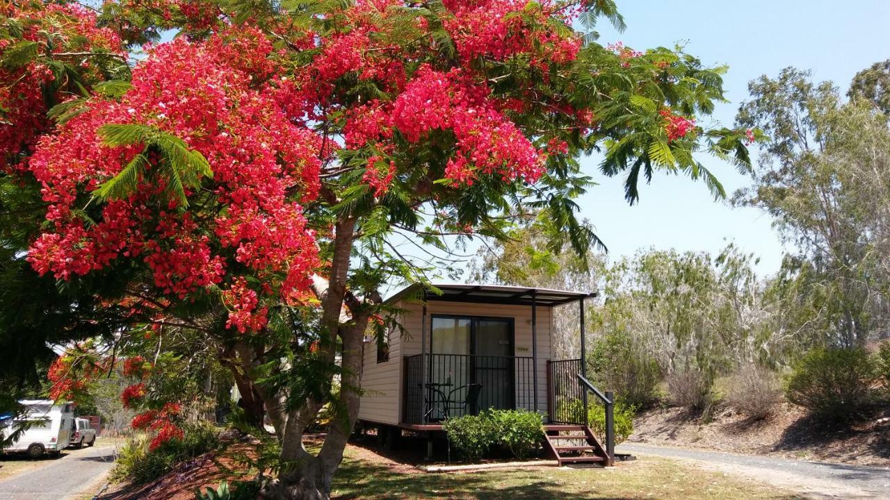 Mt Larcom Tourist Park Hotel Mount Larcom Екстериор снимка