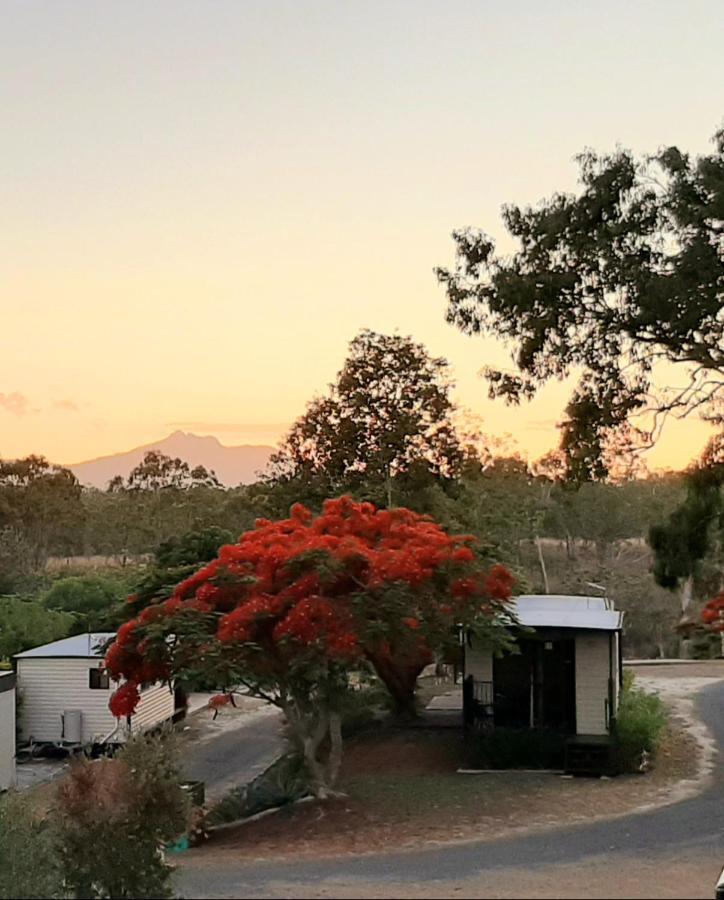 Mt Larcom Tourist Park Hotel Mount Larcom Екстериор снимка